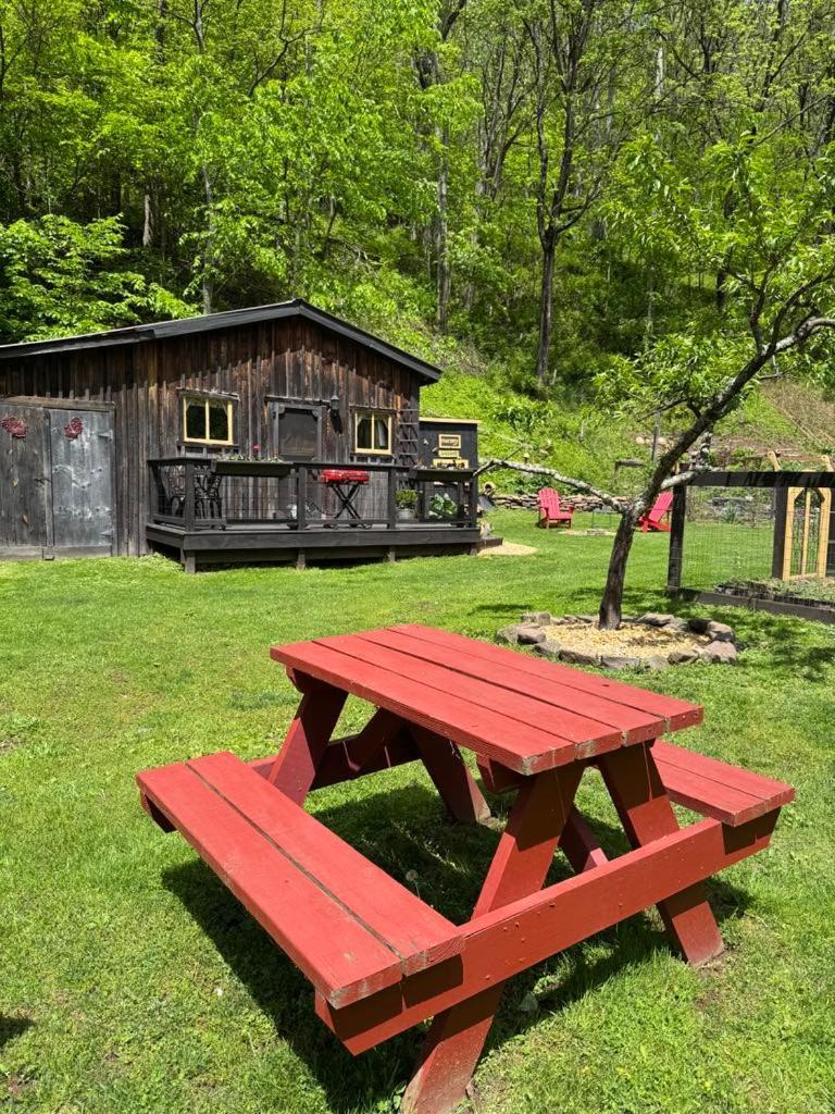 The Renovated Barn At Seneca Rocks Exterior foto