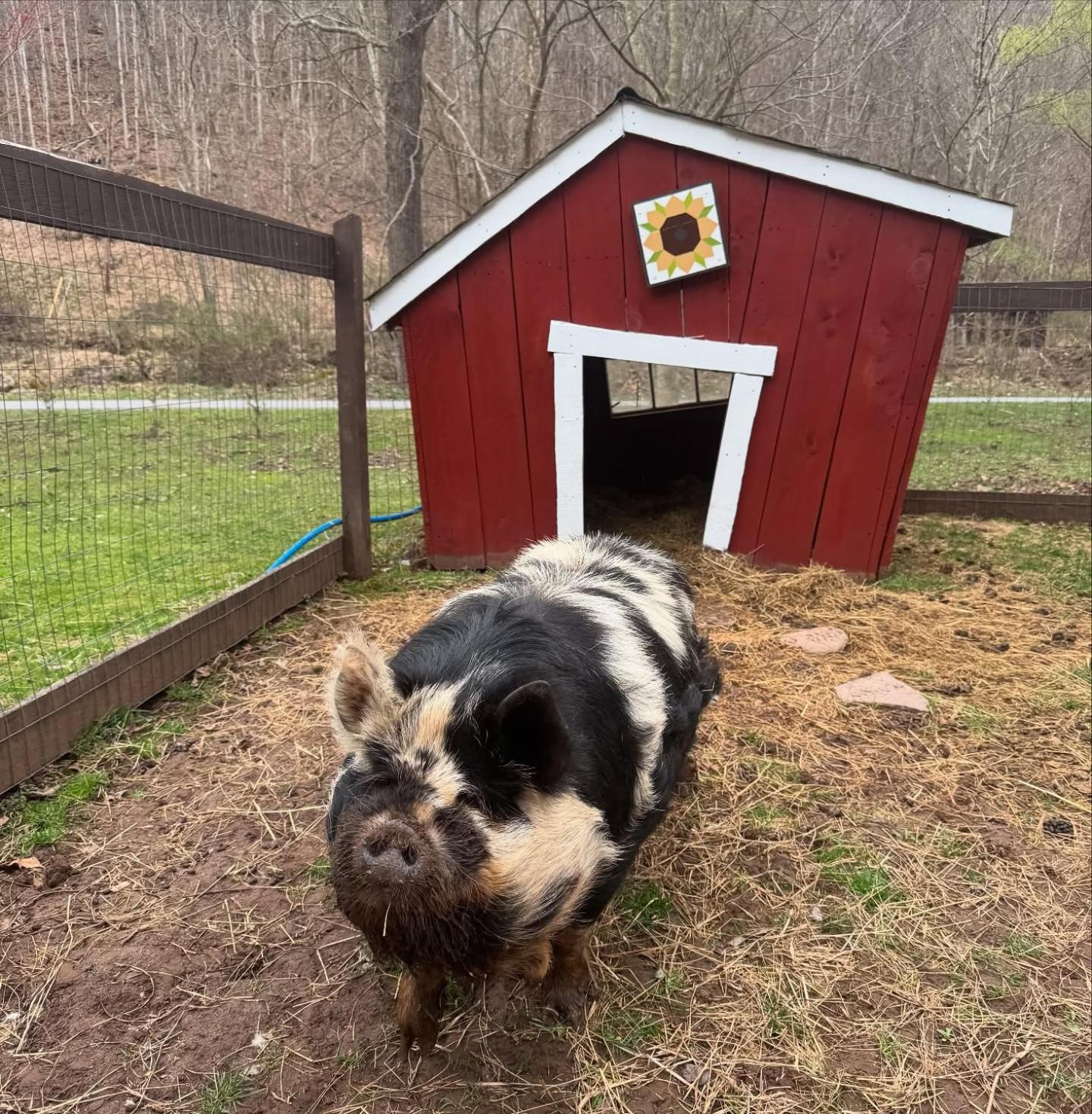 The Renovated Barn At Seneca Rocks Exterior foto